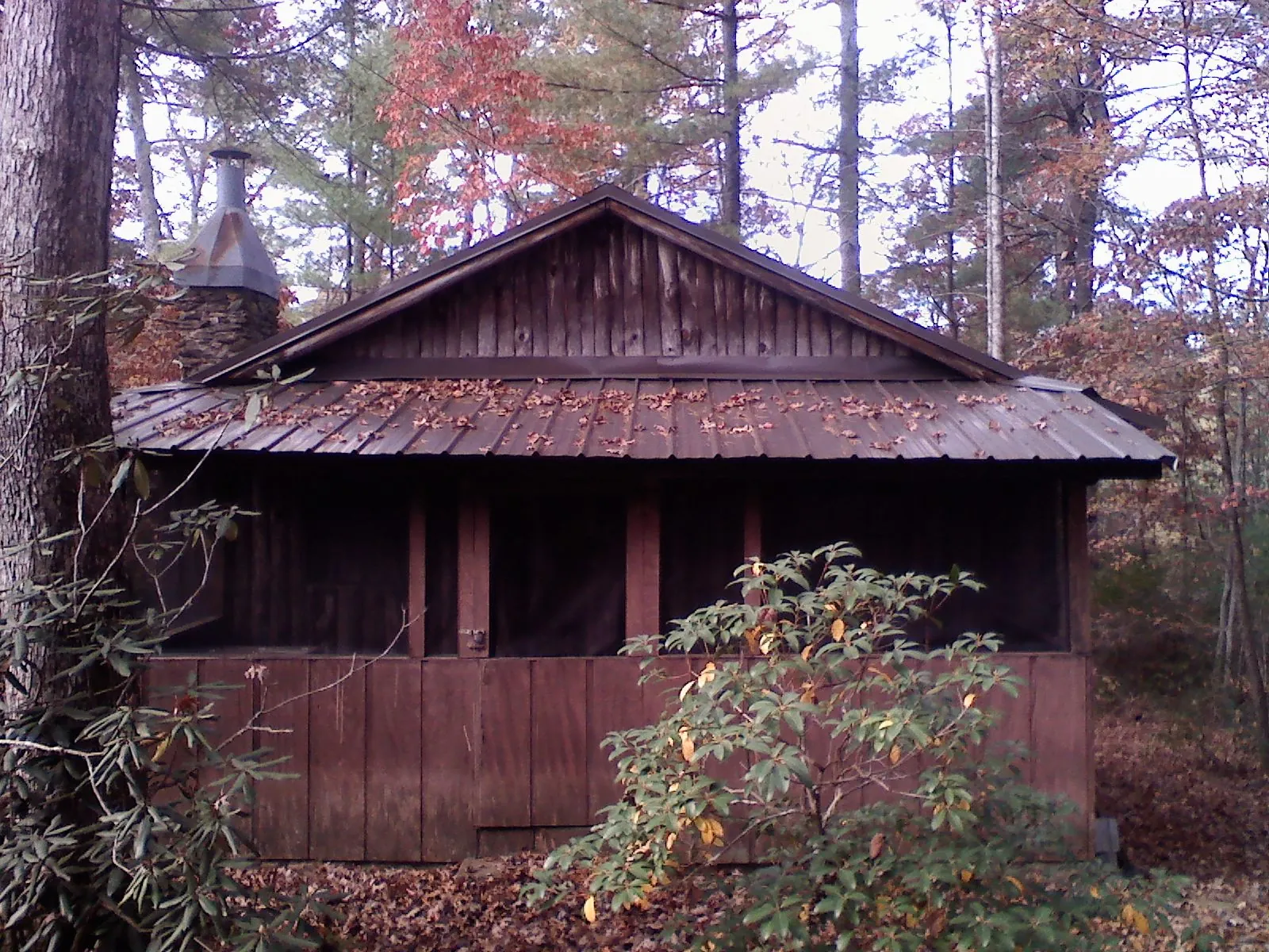 Metal roof over the screened porch of a rustic cabin in Ashford
